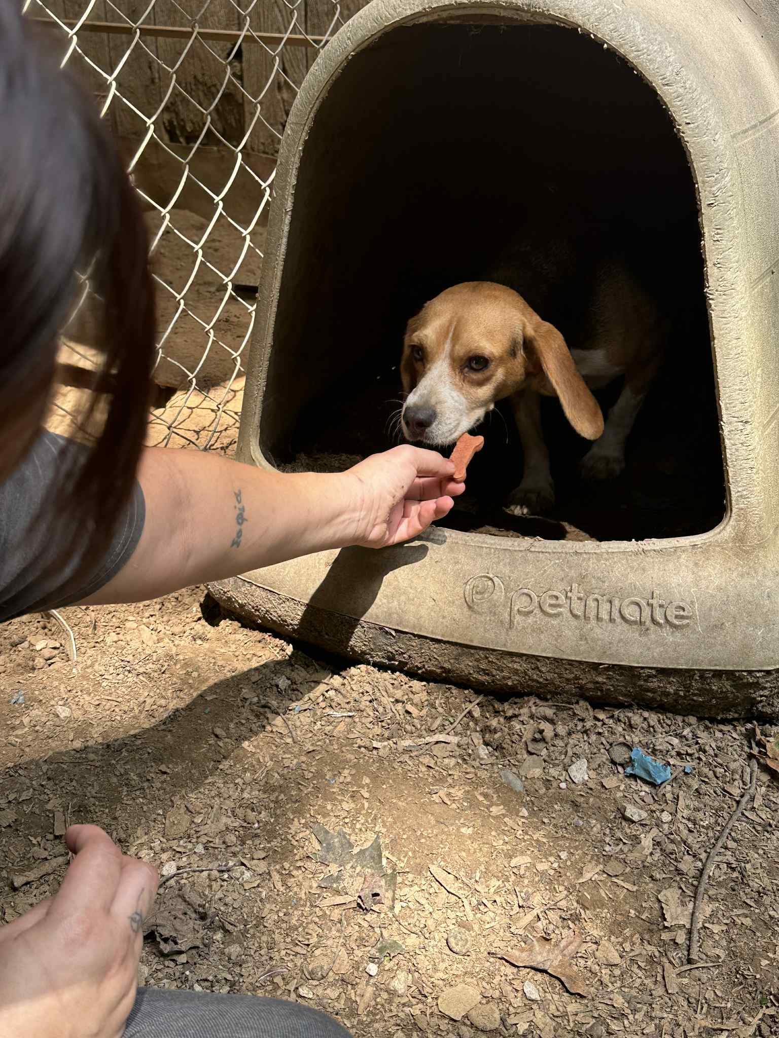 Genesy "Jesse" - Photo 5